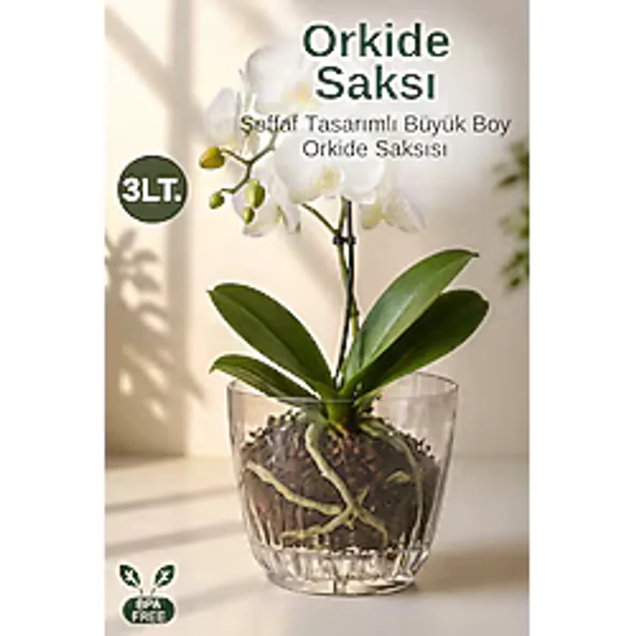 Nandy Home Büyük Boy Şeffaf Orkide Saksısı Alt Tablalı Dekoratif Saksı