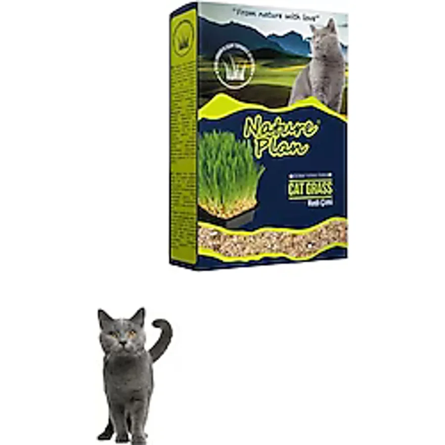 Nature Plan 500 ml Kedi Çimi