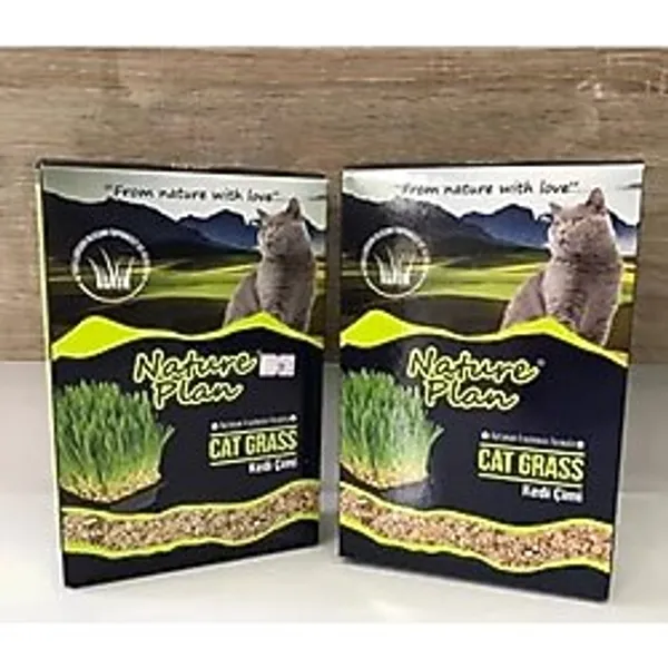 Nature Plan Oripet Kedi Çimi 500 Ml X 2 Adet
