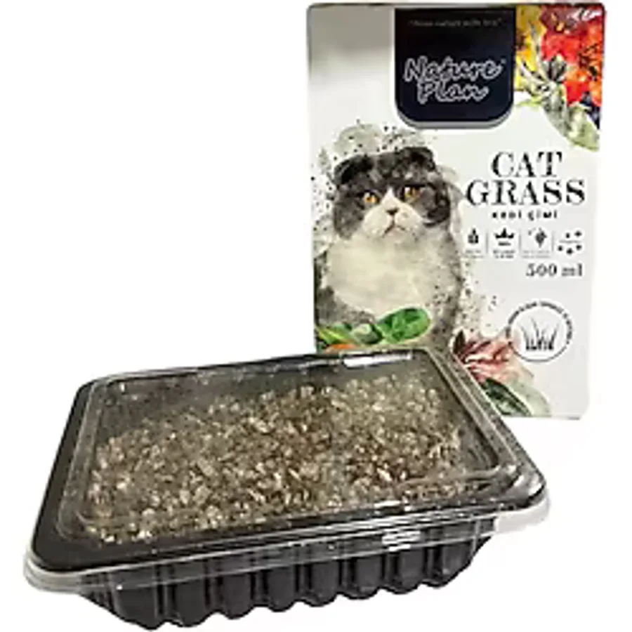 Nature Plane Kedi Çimi 500ML