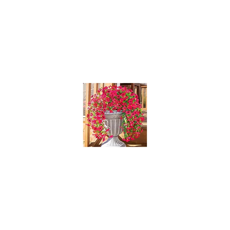 Nettenevime Yapay Çiçek Fuşya Sarkan Mineli Okaliptus Şimşir Yapay Sarmaşık 5dal 60cm Pembe