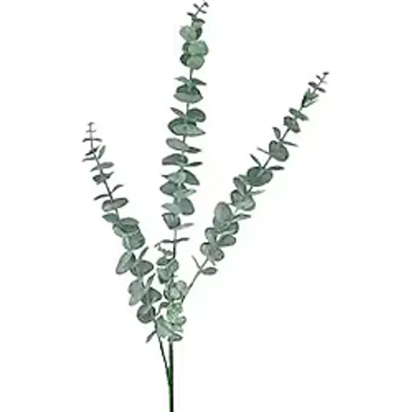 Nettenevime Yapay Çiçek Pastel Yeşil Okaliptus 3dallı Uzun Dal 76cm Eucalyptus