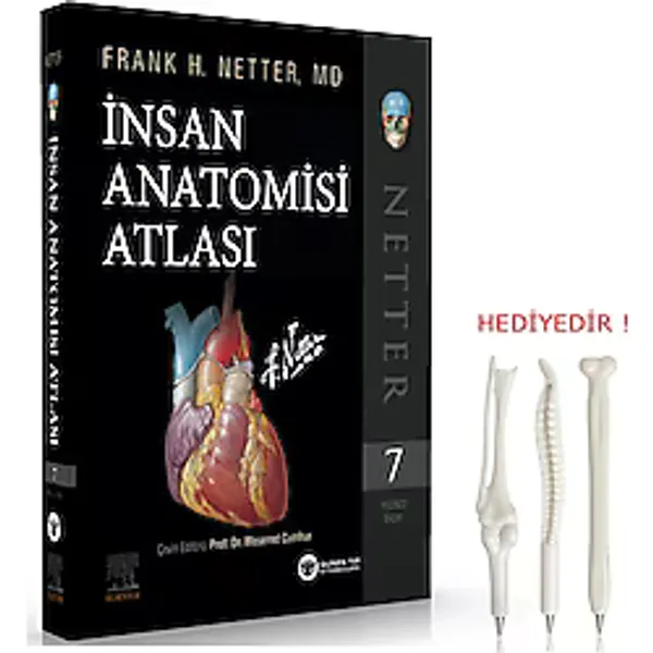 Netter Insan Anatomisi Atlası 7. Baskı