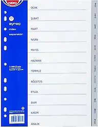 Noki 59280 A4 Aylar Ocak-Aralık Seperatör