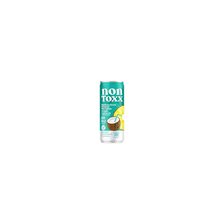 Non Toxx Hindistan Cevizi Ananas Sirkeli Gazlı İçecek 250 ml