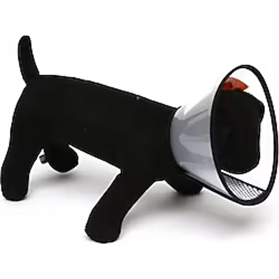 Nunbell Elizabet Köpek Yakalık 42 cm