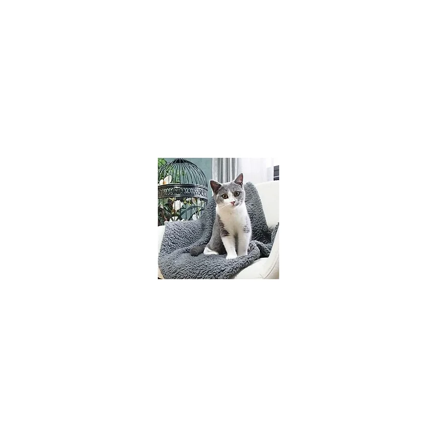Nursoft Peluş Kedi Battaniyesi 60x80 Cm