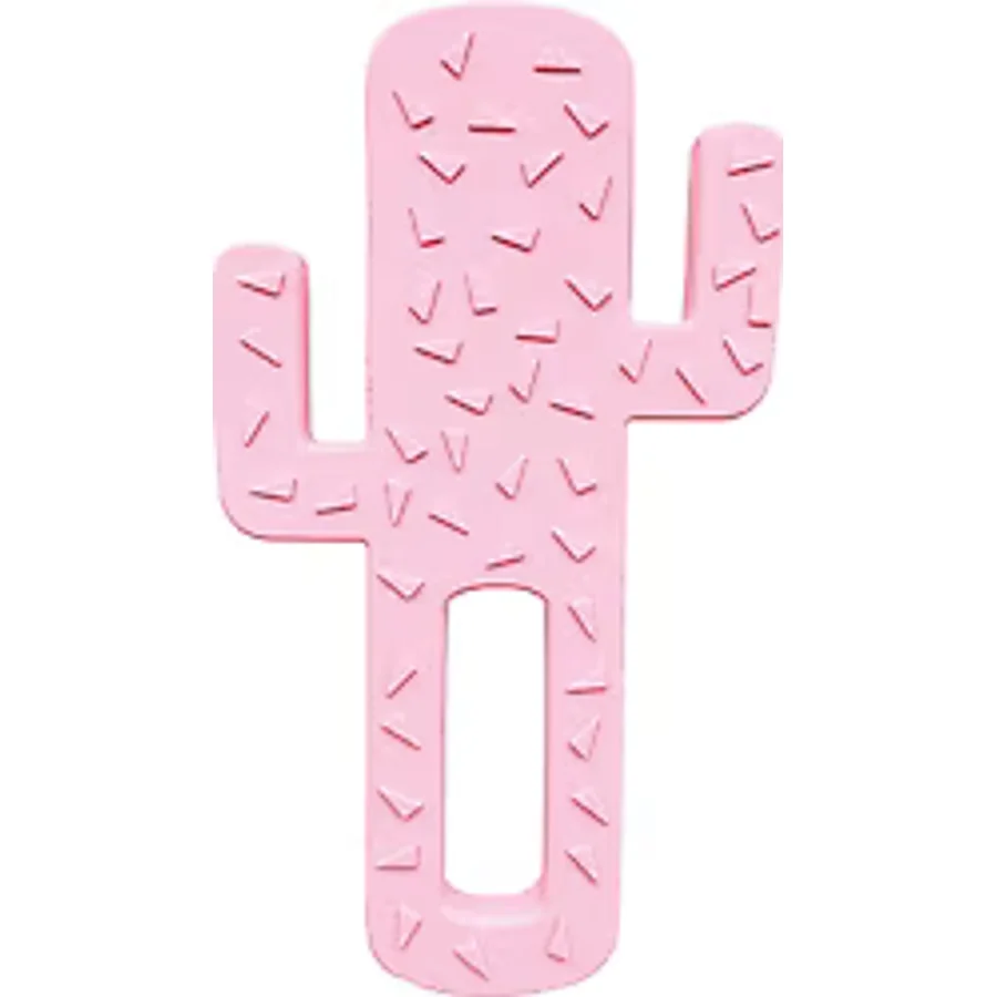 OİOİ Kaktüs Pembe Diş Kaşıyıcı