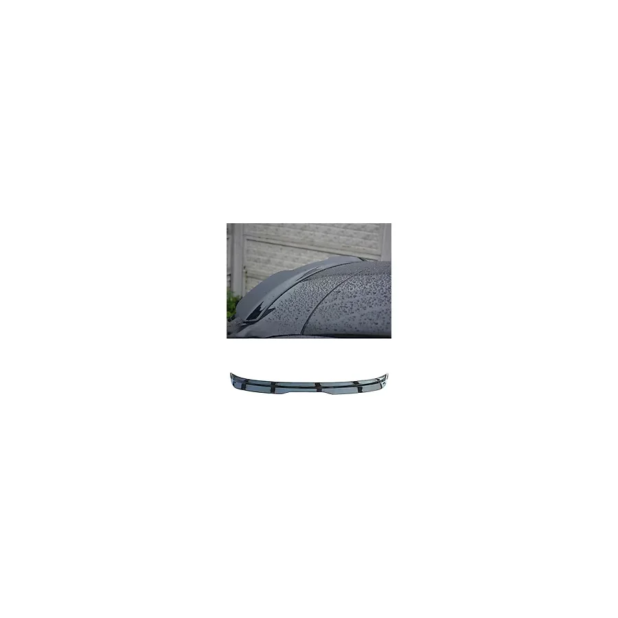 Omg Oto Peugeot 207 2006-2015 Yarasa Tip Spoiler Piona Black Spoyler