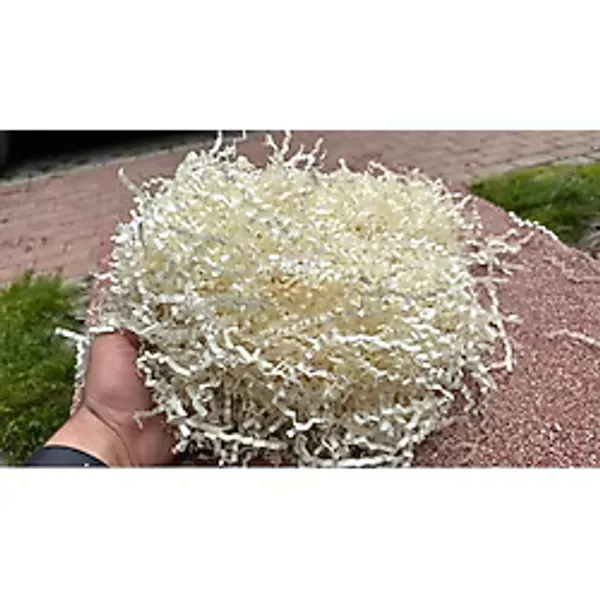 Orbak Kağıtçılık Ekru Kırpık Kağıt 50 gr Z Zigzag Kutu Dolgu ve Süsleme Hediye Kutusu İçin Dolgu Malzemesi - 1