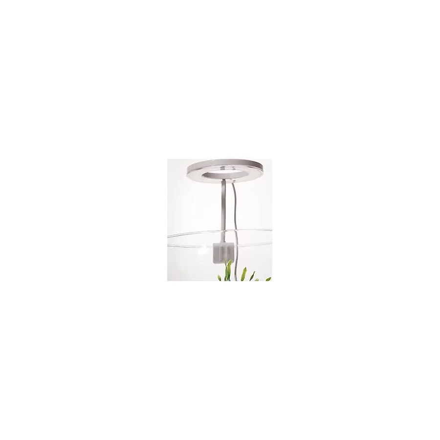 Orionled Goosneck Fanus & Nano Akvaryum Led Aydınlatma Oval Siyah