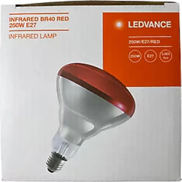Osram Ledvance 250w Infrared Ampul Br40 E27 Isıtıcılı Lamba Kırmızı Işık (8 Adet)