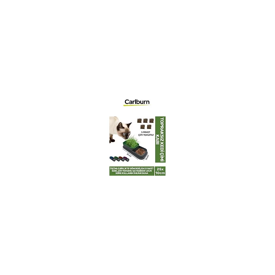 Özel Üretim 5 Adet Kedi Çimi Tohumu Topraksız Kedi Çimi Kabı 25x10cm