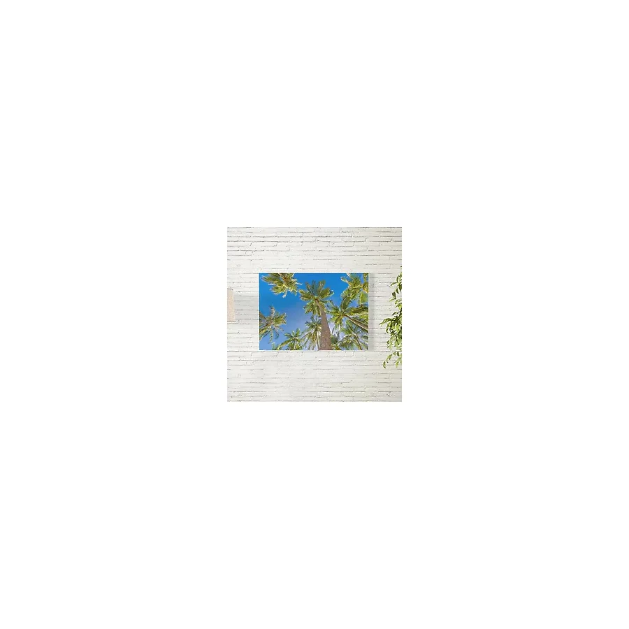 Palmiye Ağacı Posteri 50X70 CM