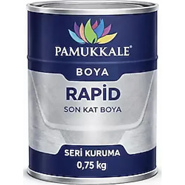 Pamukkale 1402 Rapid 0.75 kg Metal Boyası