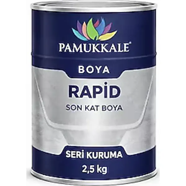 Pamukkale 1510 Rapid 2.5 kg Metal Boyası