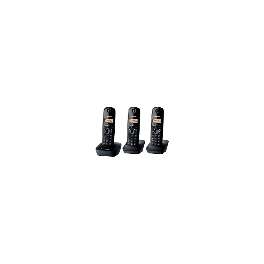 Panasonic KX-TG1613 3 Ahizeli Telsiz Telefon