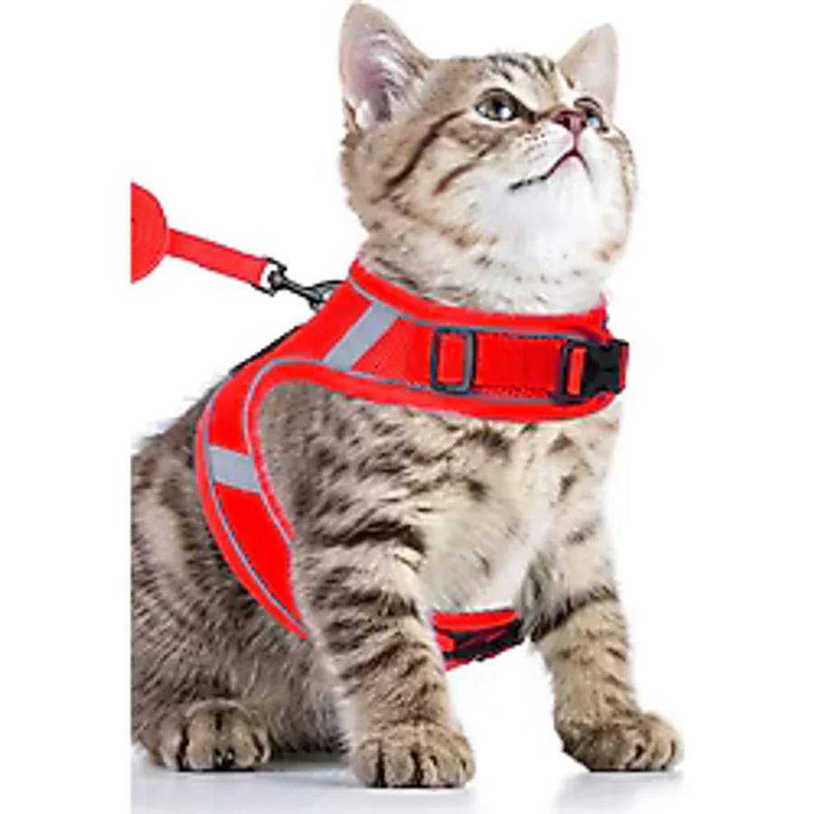 Pandogo Kedi Tasması Göğüs Gezdirme Tasması Uzun Sevk Kayışlı S Beden
