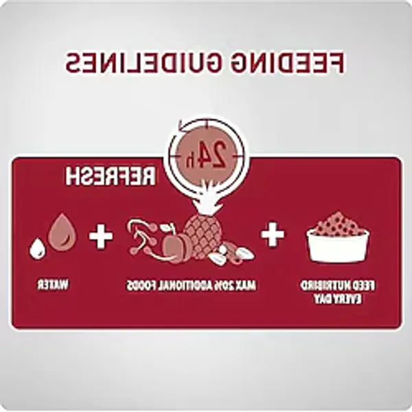 Papağan Pelet Yemi, 1 Kg Enerji Sınıfı A+ Kalitesinde