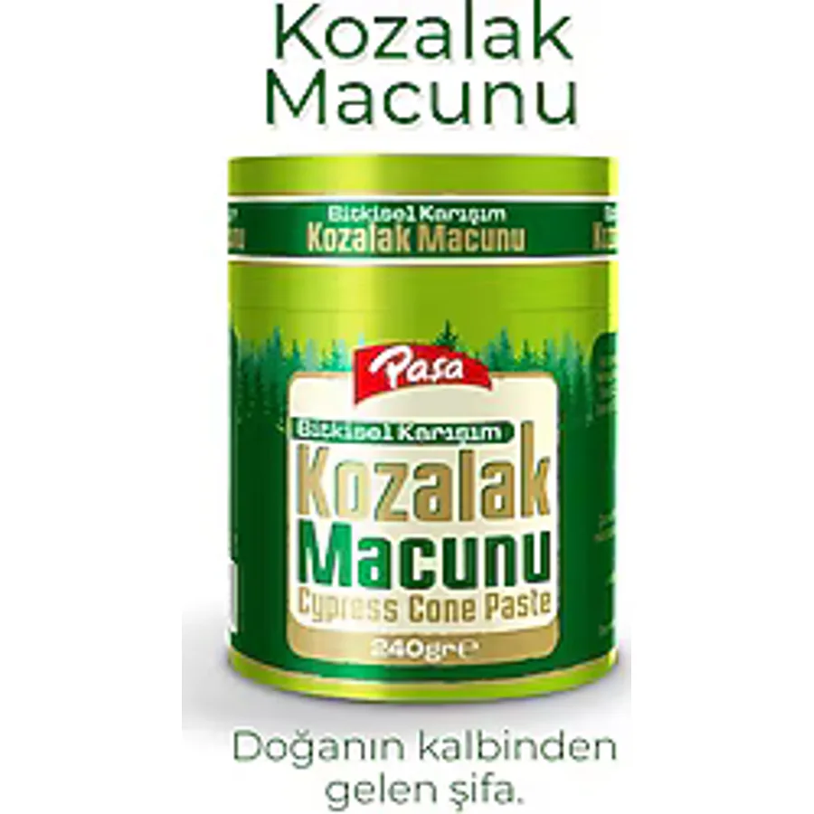 Paşa Kuruyemiş Kozalak Macunu 240 gr