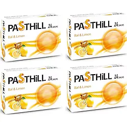 Pasthill Bal ve Limonlu 24'lü Pastil 4 Adet