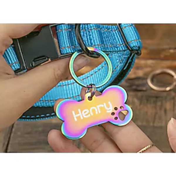 PATİMİO Isme Özel Çelik Kedi Köpek Isimlik Künyesi Rainbow