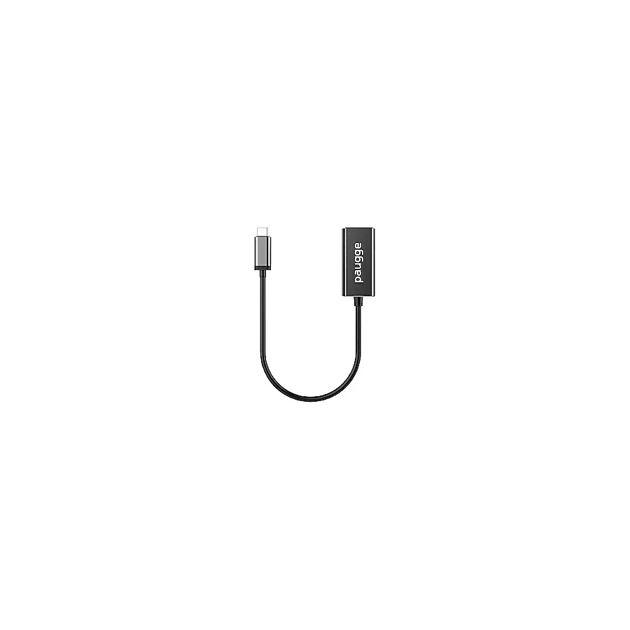 Paugge CDP12-ADP Type-C to DisplayPort Dönüştürücü