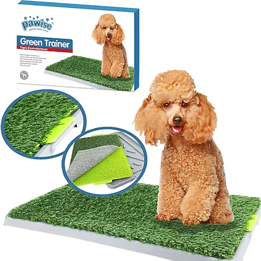 Pawise Köpek Çiş Eğitimi Yapay Çimli Tuvalet Kabı - Yeşil
