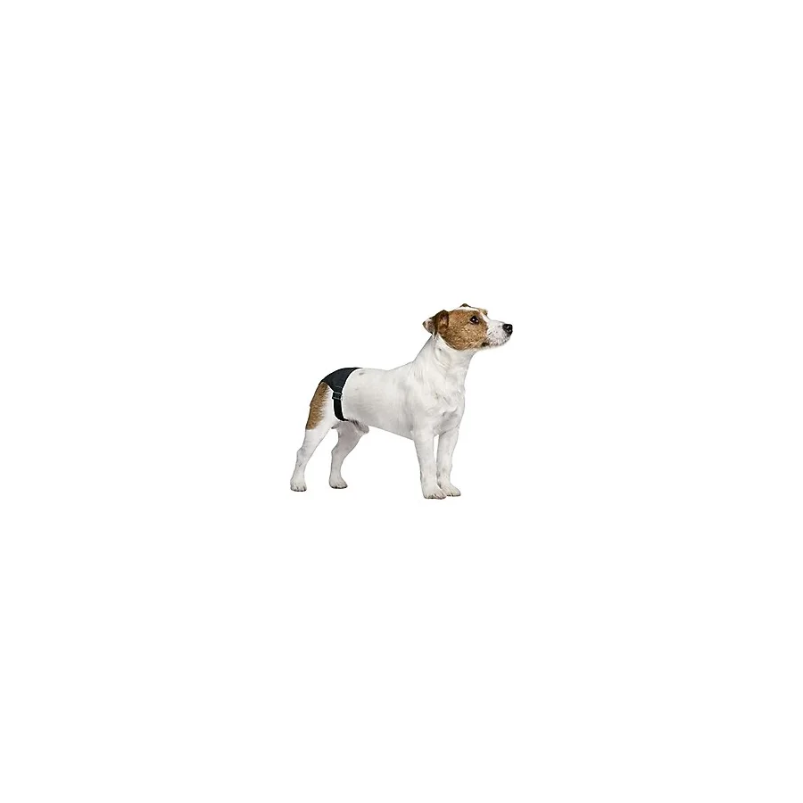 Pawise Köpek Külodu No:5