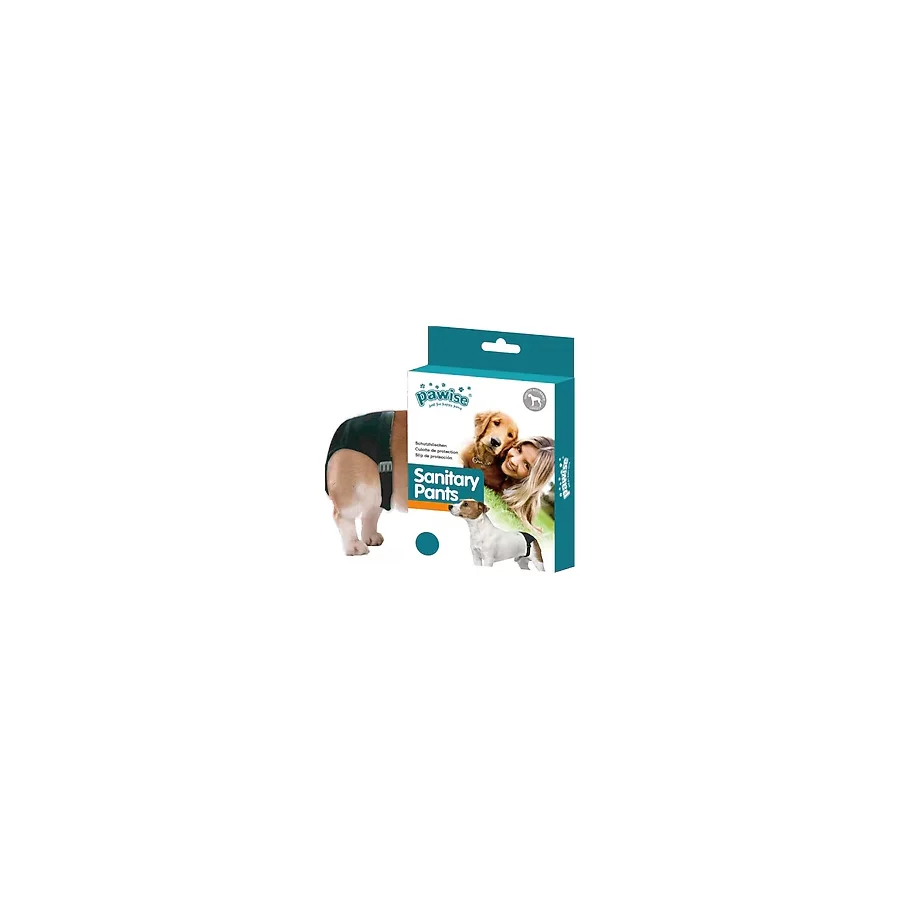 Pawise No: 2 Köpek Regl Külodu Medium