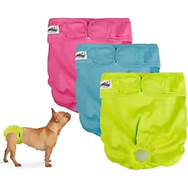 Pawise Tekrar Kullanılabilir Köpek Külodu XS 3 Adet