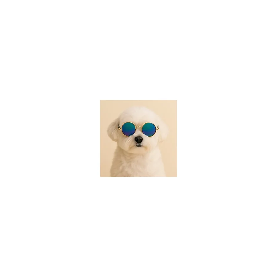 PAWPETİA Köpek Gözlüğü - Kedi Gözlüğü Yuvarlak Model Pet Aksesuar
