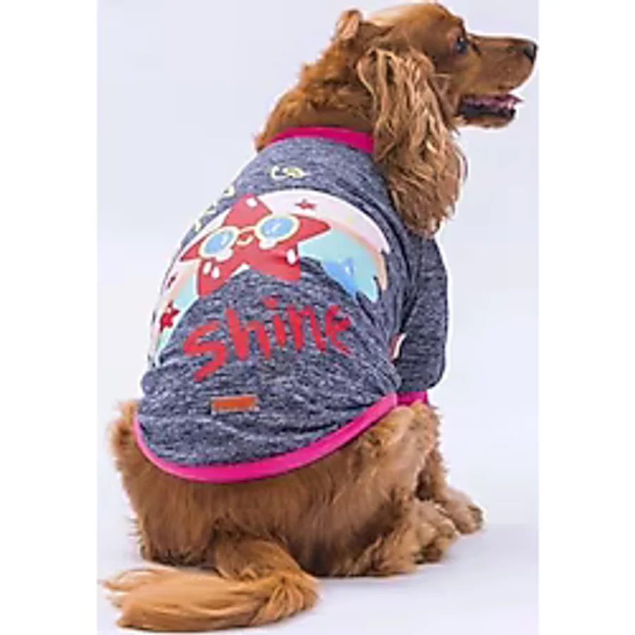 Pawstar Antrasit Shine Kedi Köpek Sweati - Kedi Köpek Kıyafeti - XL