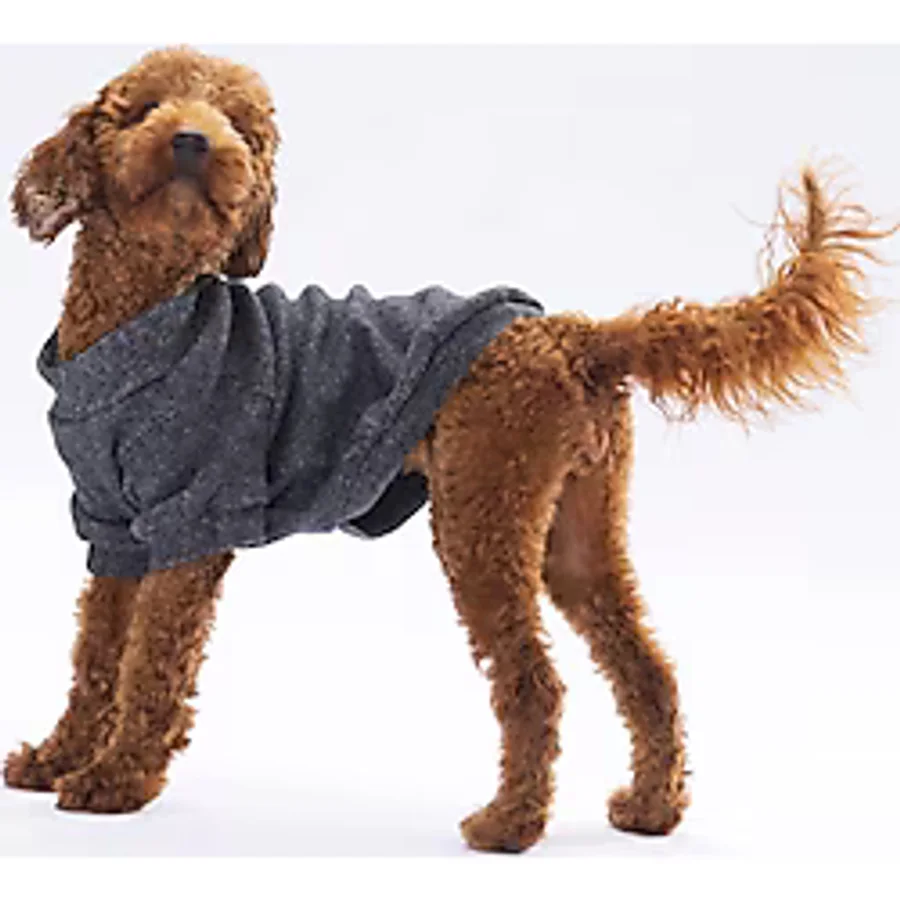 Pawstar Black Merino Sweat Large 30x33x46 Cm