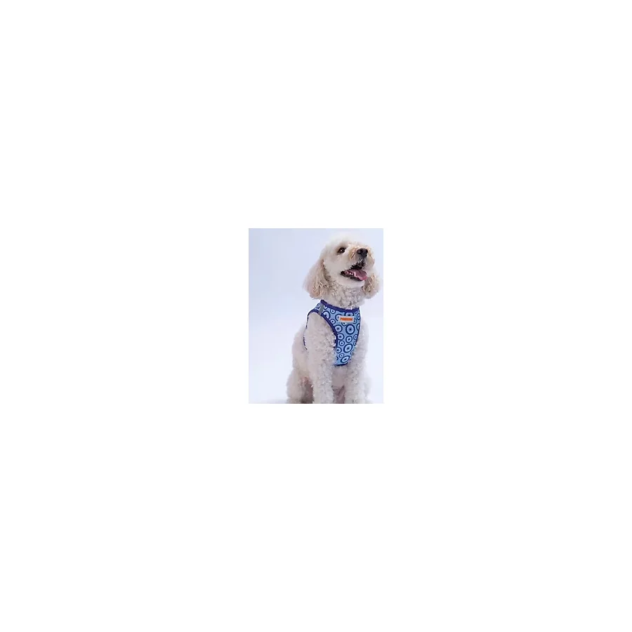 Pawstar Charm Air-mesh Göğüs Tasması Kedi Köpek Göğüs Tasması Nazar Boncuğu Desenli Köpek Tasması