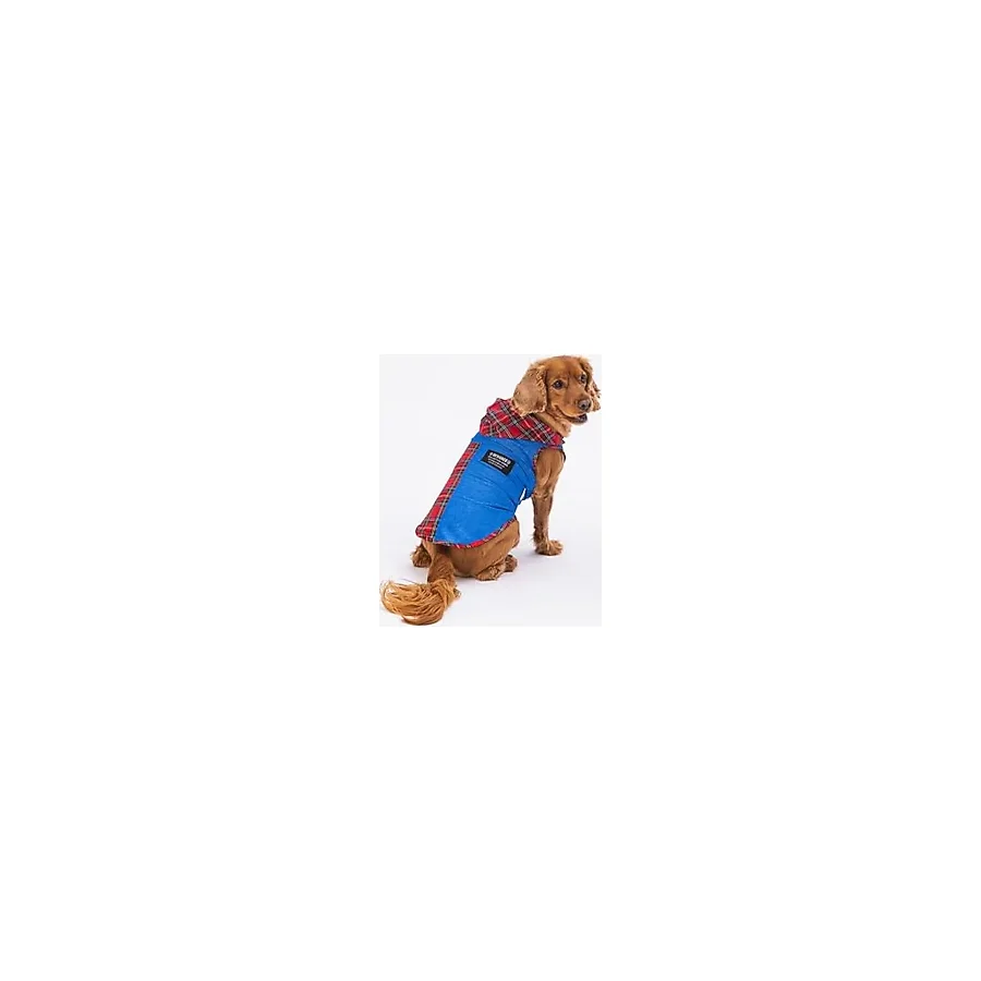 Pawstar Denim & Plaid Kedi Köpek Gömleği - Kedi Köpek Kıyafeti L