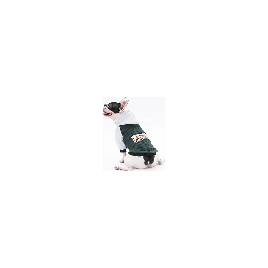 Pawstar Koyu Yeşil PS Desing Kedi Köpek Ceketi Kedi Köpek Kıyafeti Kedi Köpek Elbisesi Koyu Yeşil 2XL