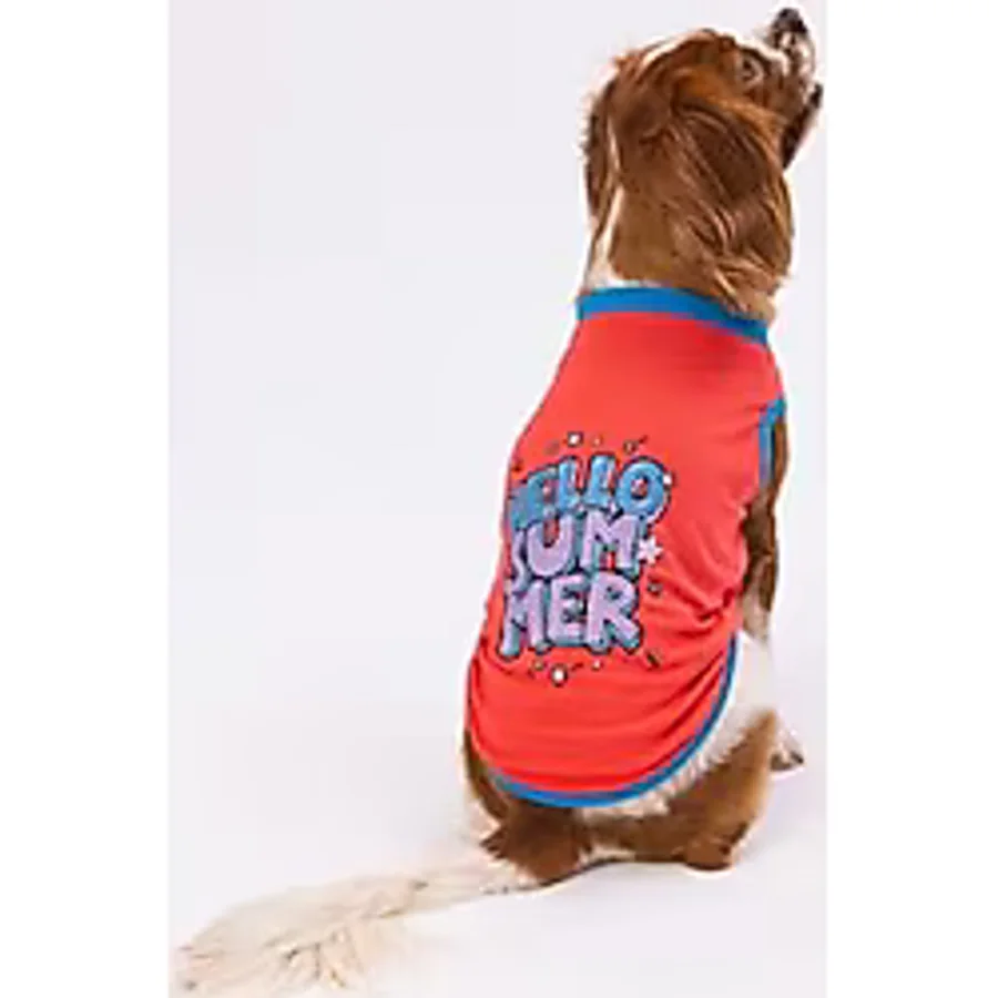 Pawstar Nar Çiçeği Hello Summer Kedi Köpek Tişörtü - Kedi Köpek Kıyafeti Small