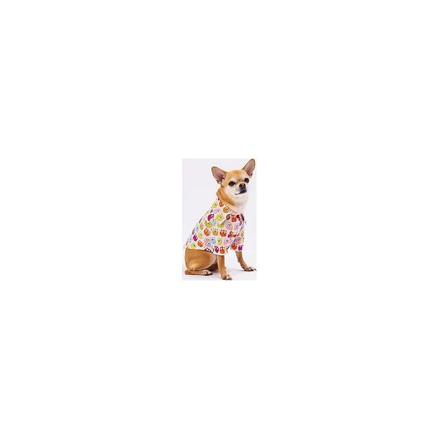 Pawstar Owls Kedi Köpek Gömleği - Kedi Köpek Kıyafeti