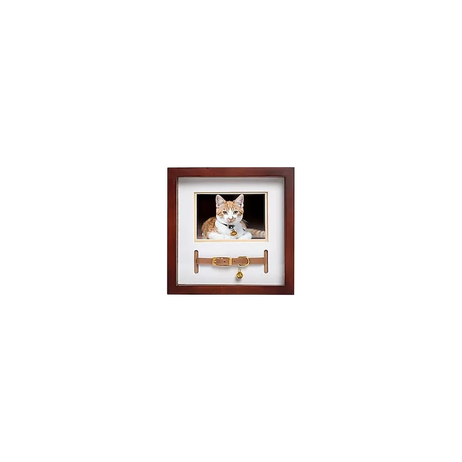 Pearhead Pet Yaka Hatıra Çerçevesi, Evcil Hayvan Anıtı Resim Çerçevesi, Evcil Hayvan Sahibi Ev Dekoru, Kedi veya Köpek Hatırası, 3 x 4.5 Fotoğraf Ekleme, Duvara Montaj ve Masa Üstü Çerçeve, Espresso