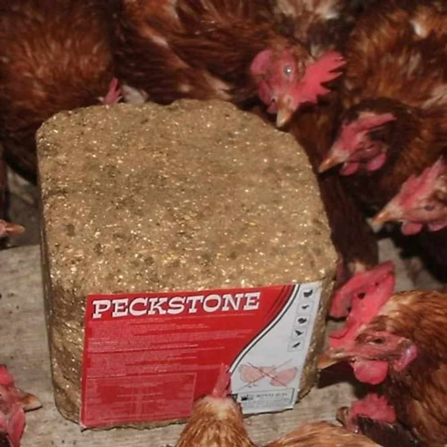 Peckstone 10 kg gagalama taşı