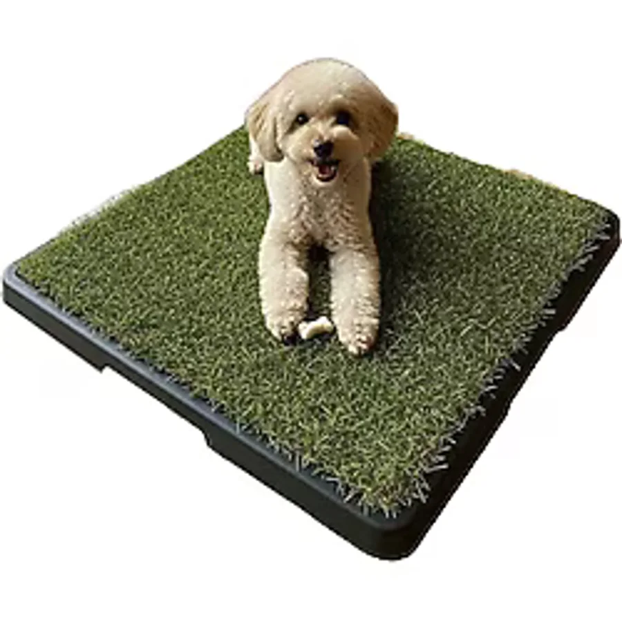 Pet Pretty Greenpee Köpek Tuvaleti Çimli Küçük 40x60