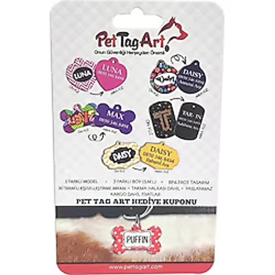 Pet Tag Art İsimlik