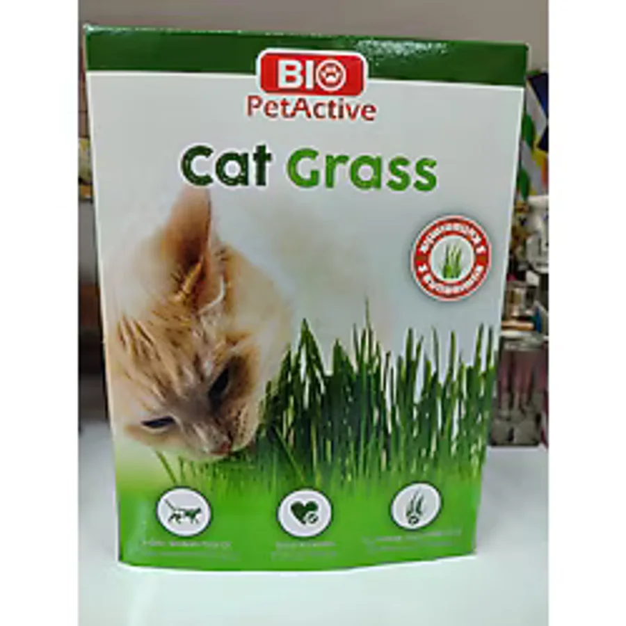 PetActive Kedi Çimi