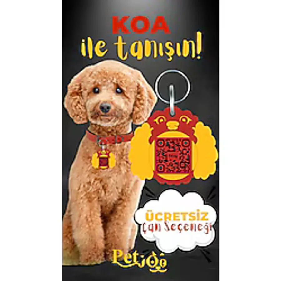 Petjoo 14.Koa Sarı-Kırmızı Qr'lı Köpek Künyesi