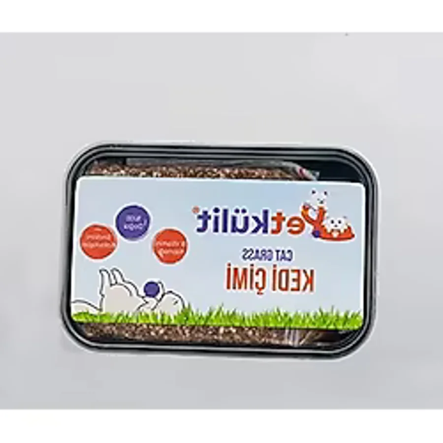 Petkülit Kedi Çimi - Siyah