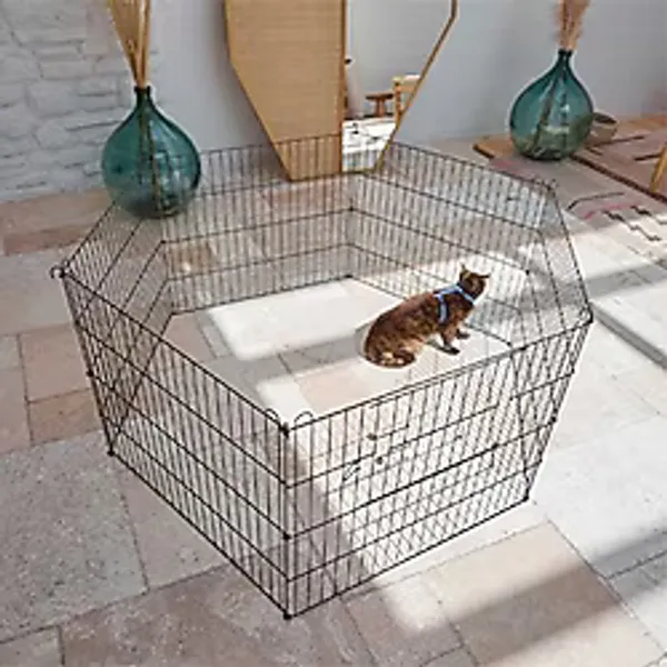 Petpretty Köpek Büyük Bahçe Çiti 75x69 Cm