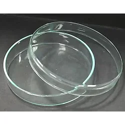 Petri Kabı Cam 60 X 15 Mm 1 Adet