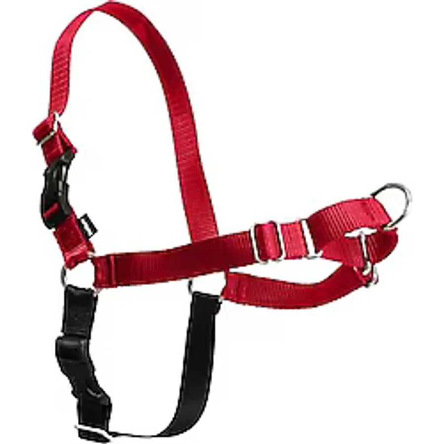 PetSafe Easy Walk köpek tasması