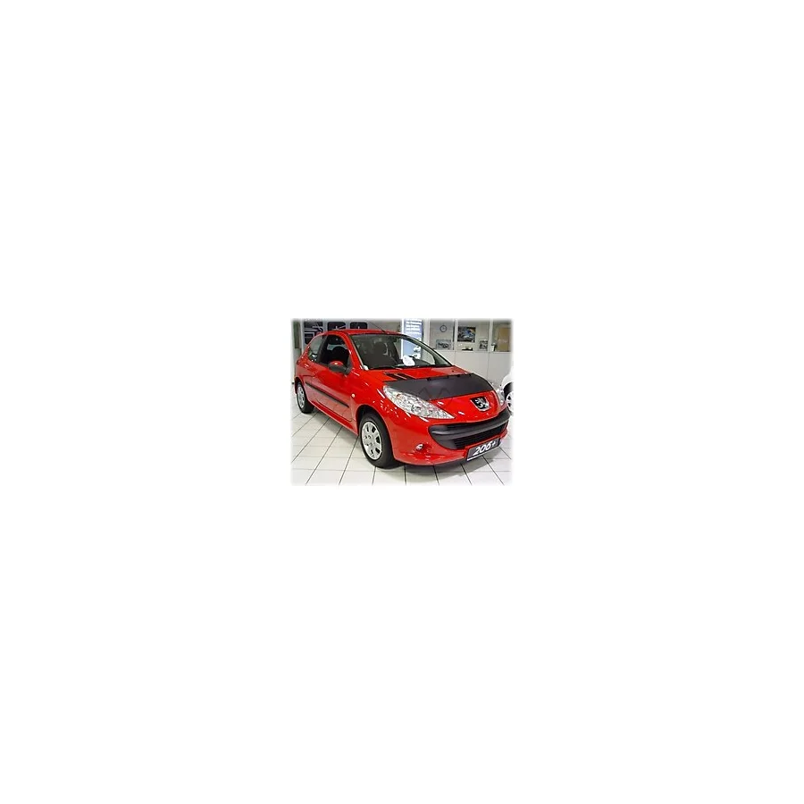 Peugeot 206 Plus Kaput Maskesi